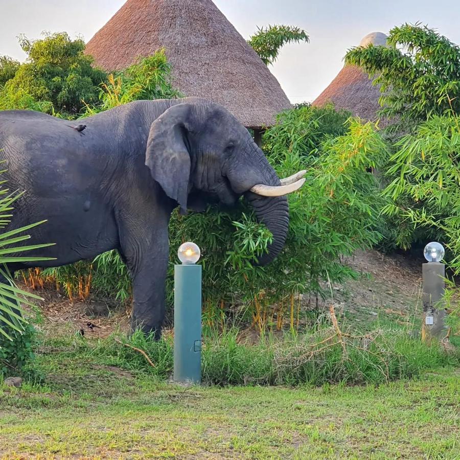 Tilenga Safari Lodge Arua Zewnętrze zdjęcie
