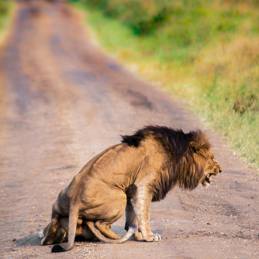 Tilenga Safari Lodge Arua Zewnętrze zdjęcie