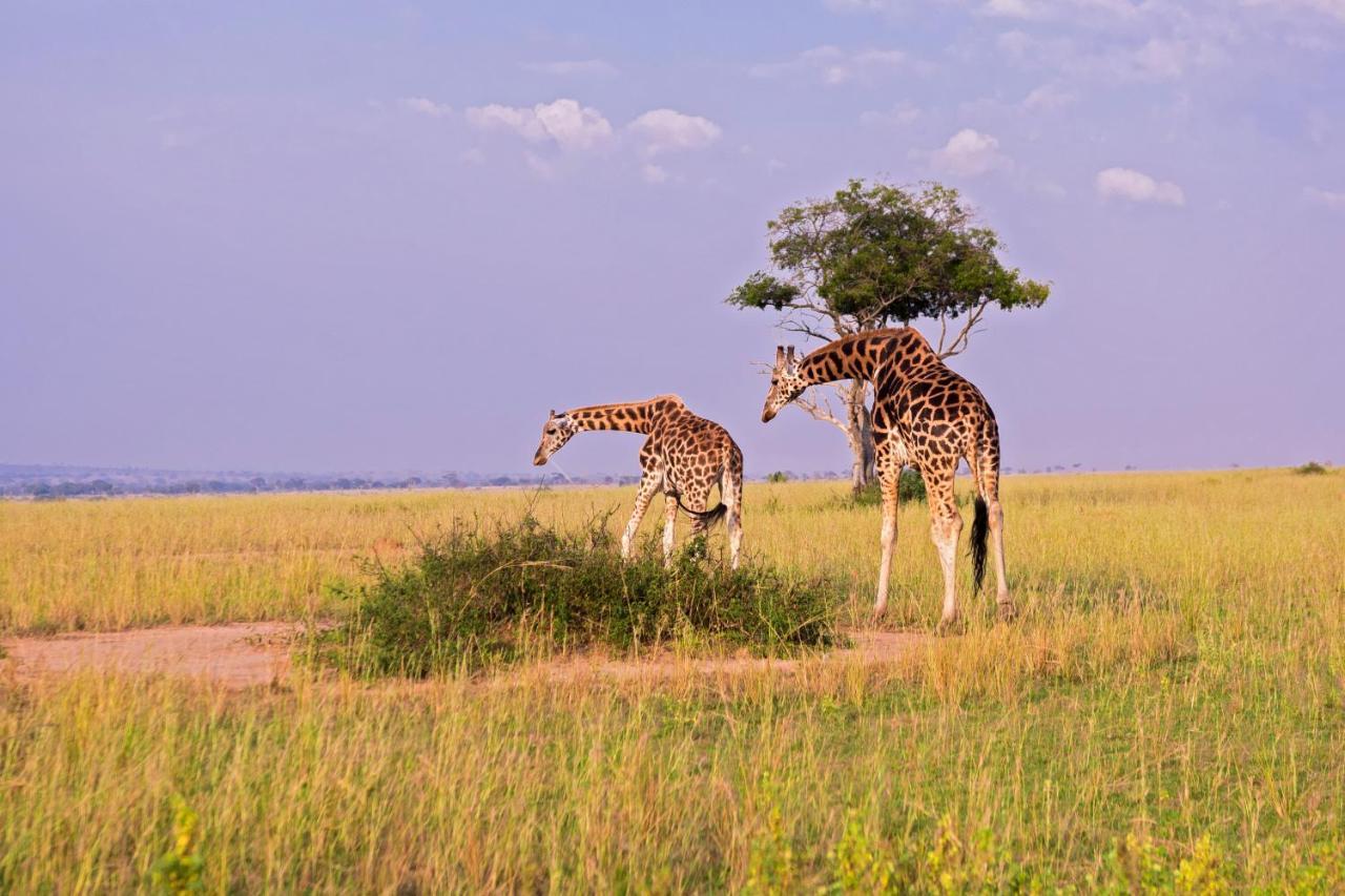 Tilenga Safari Lodge Arua Zewnętrze zdjęcie